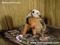 [ Zoo Sex Movie ] Brazen blond pervert is getting wildly fucked by her sister's dog
